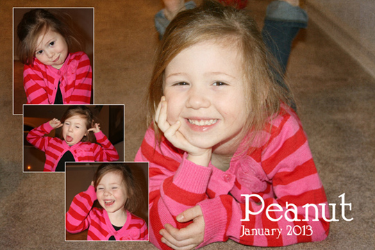 Peanut 1-2013